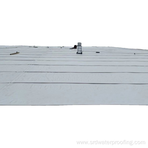 Eco-friendly Pvc Waterproofing Membrane Sheet